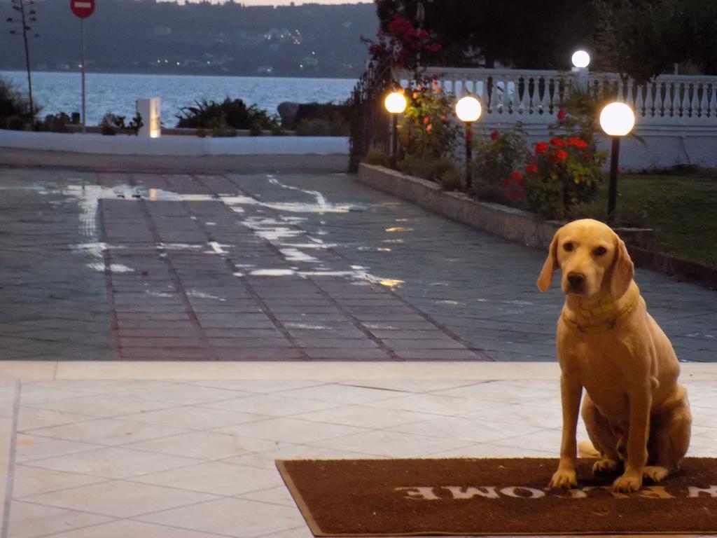 Galaxy Hotel Argostoli  Exterior foto